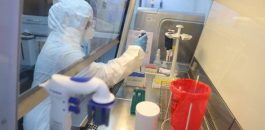 تسجيل 56 حالة إصابة جديدة بفيروس كورونا خلال 24 ساعة الماضية