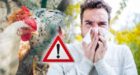إنفلونزا الطيور.. 6 أعراض غير متوقعة.. ومدة الظهور على الشخص المصاب وفترة حضانة الفيروس .. وخطورته