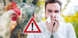 إنفلونزا الطيور.. 6 أعراض غير متوقعة.. ومدة الظهور على الشخص المصاب وفترة حضانة الفيروس .. وخطورته