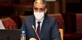 رباح: حوالي 600 مقاولة تعنى بمجال الطاقات المتجددة بالمغرب