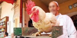 انخفاض أسعار أثمنة الدجاج واللحوم الحمراء يخفّف أعباء الفئات الهشة في زمن الجائحة