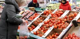 فيروس يهدد صادرات الطماطم المغربية