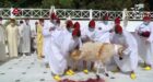 بالفيديو: شاهد لحظة نحر الملك محمد السادس أضحية العيد بفاس
