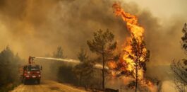 الجزائر تعلن إخماد كافة الحرائق في ولاية “تيزي وزو”