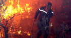 الجزائر.. ارتفاع حصلية ضحايا حرائق الغابات إلى 65 ضحية منهم 28 عسكريا
