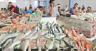 موجة البرد تلهب أسعار السمك بأسواق المملكة