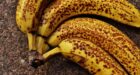 العلماء يكشفون أخيرا سر انتشار النقاط البنية على الموز .. ووسائل منع ظهورها