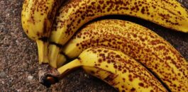 العلماء يكشفون أخيرا سر انتشار النقاط البنية على الموز .. ووسائل منع ظهورها
