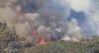 اندلاع حريق مهول في غابة بجرسيف