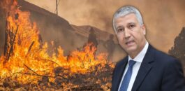 وزير الفلاحة يكشف عن “حصيلة ثقيلة” لحرائق الغابات