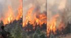 شاهد حريق غابات جبل أغاندرو وجبل تيدغين بجماعة السواحل إقليم الحسيمة