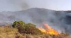 فيديو / استمرار الحريق المهول بغابات تافوغالت رغم جهود فرق الإطفاء