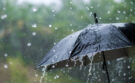 أمطار رعدية مرتقبة مع هبوب رياح قوية في عدد من مناطق المملكة